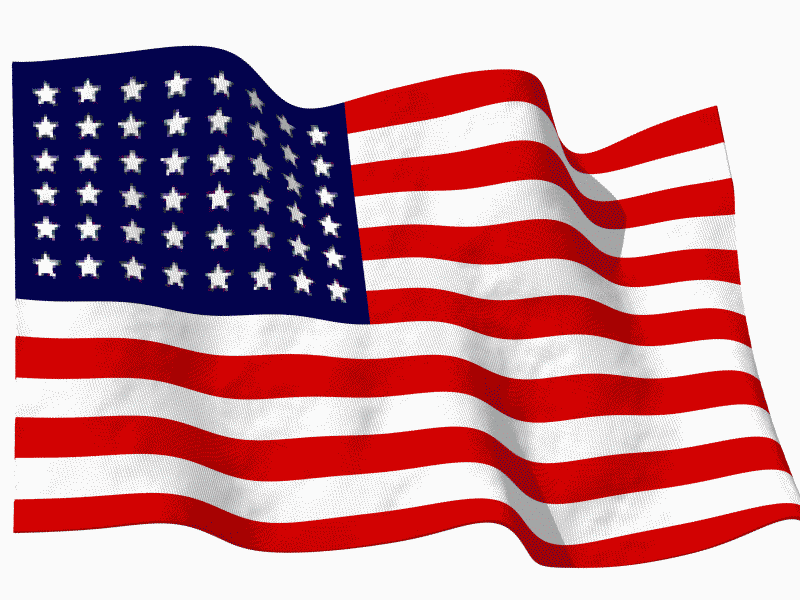 Flag Waving Flag Waving