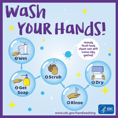wash your hands 