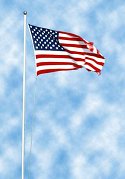 flag