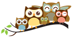 owl family 