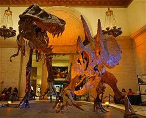 Dinosaurs 