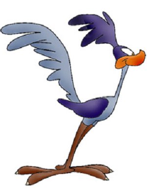 Roadrunner