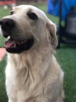 Ben 