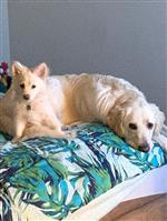 Ben and Brody 