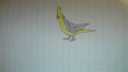 character design