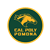 CPP 