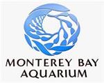Monterey Bay Aquarium 