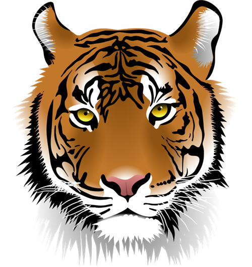 Taft Tigers are Respectful, Responsible and Safe 