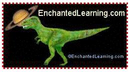 enchanted enchanted