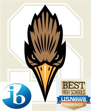 Saddleback High School / Overview