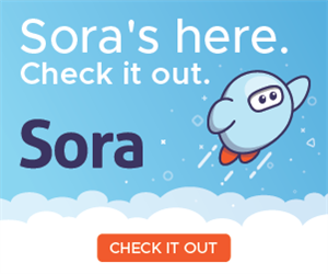 Sora link picture to e-books 