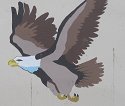 eagle_mascot