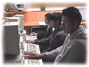 websearching