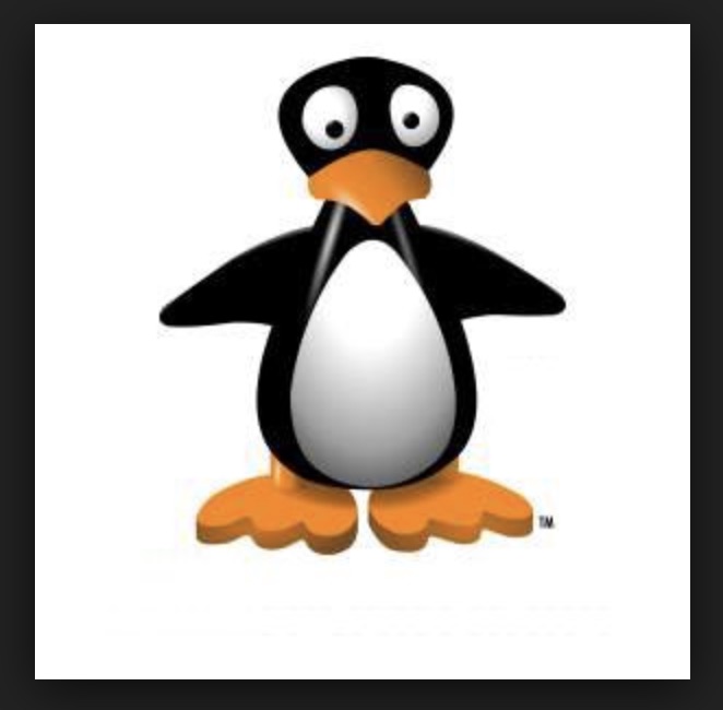 ST Math= Jiji