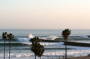 Wedge