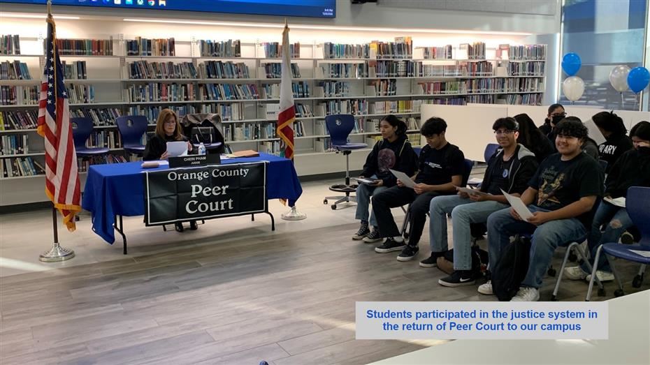  peer court session