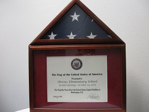 Flag at Capitol