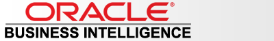 Oracle Business Intelligence 