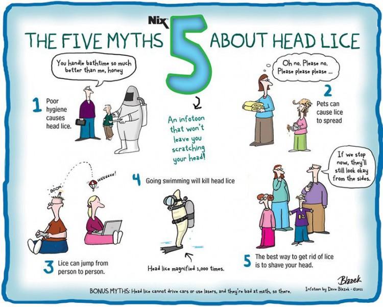 Click Here to Read Head Lice Policy