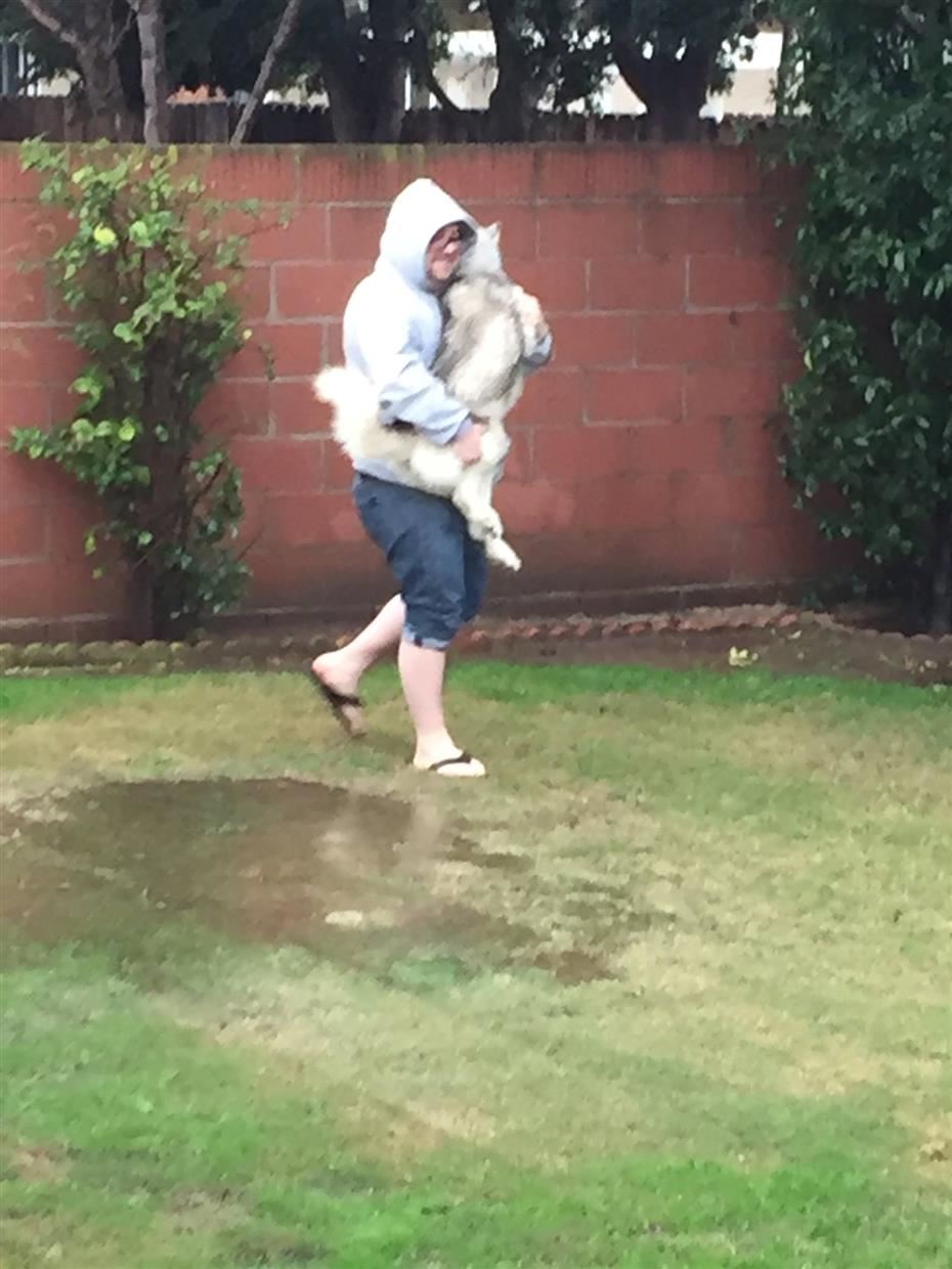 My dog needed a hero on that day. My dog needed a hero on that day.