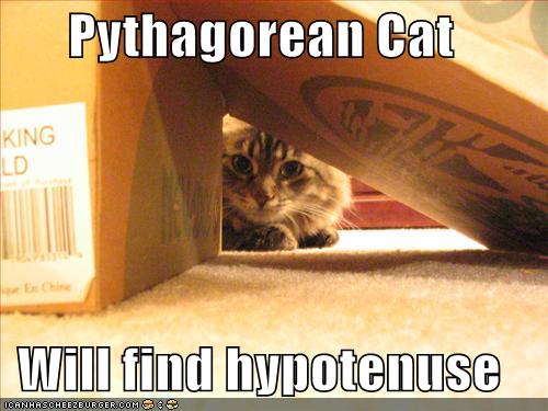 Pythagorean Cat Will find hypotenuse 