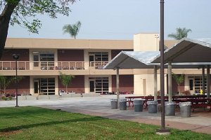New building 