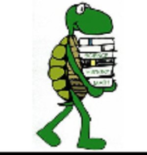 Speedy the turtle 