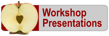 Workshop Presentations 