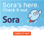 Sora Logo