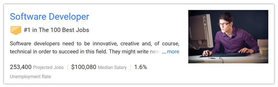 Software Developer 