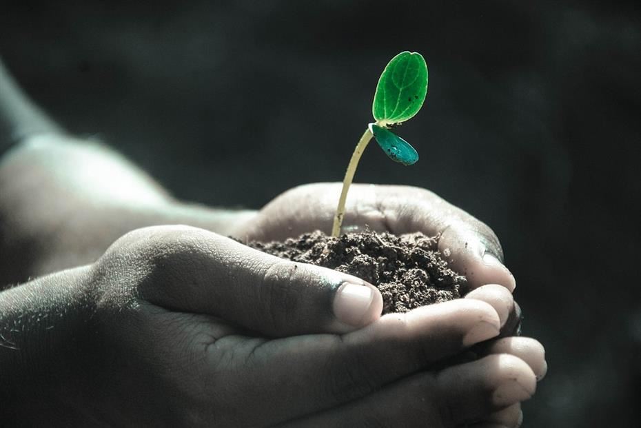 Growth Mindset Growth Mindset