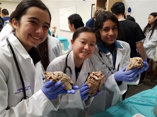 doctors in training 