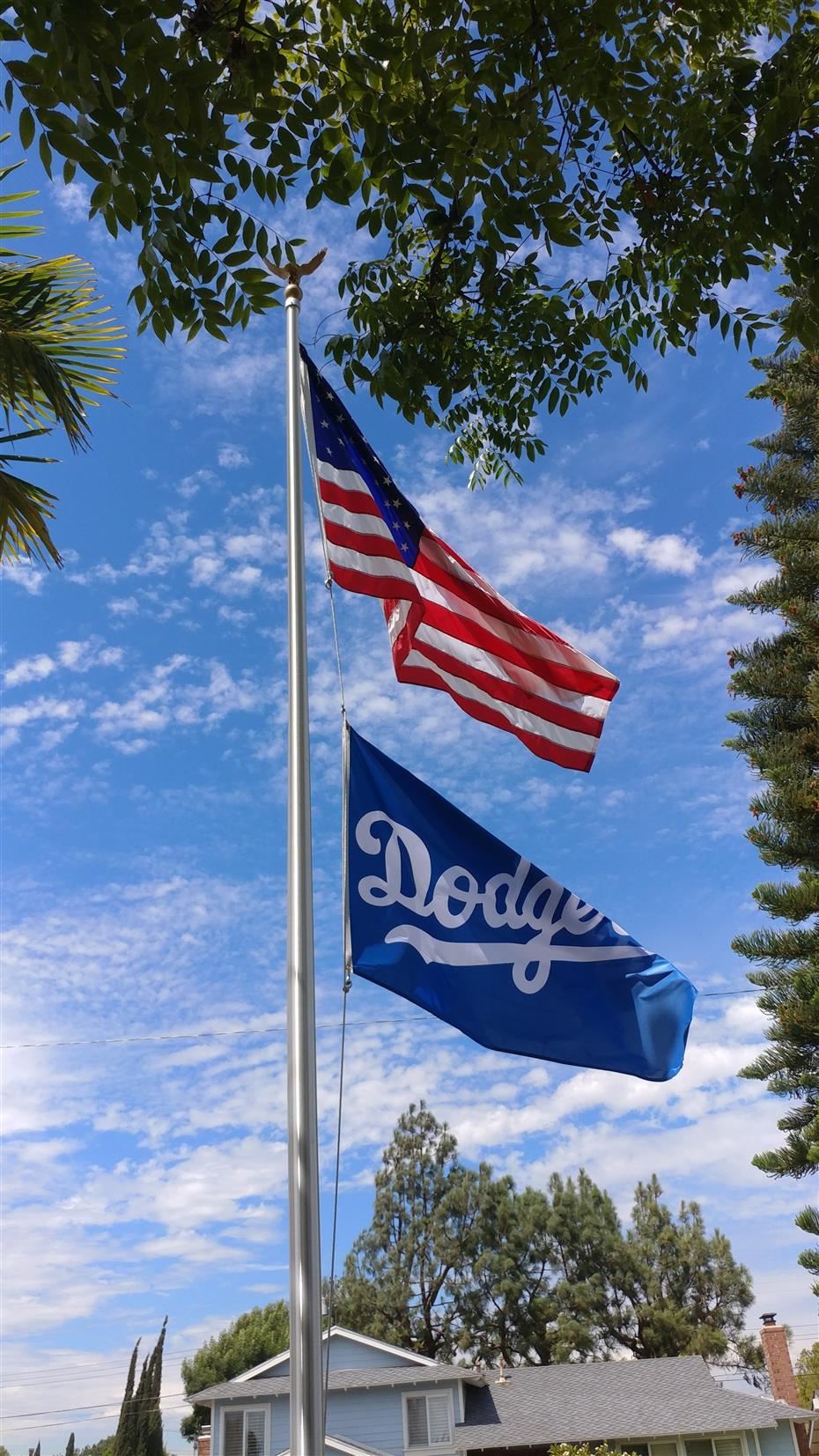 Flag 