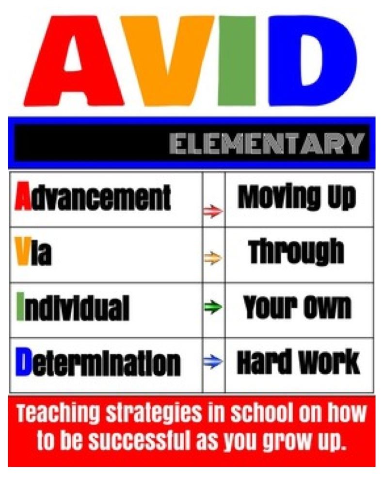 AVID Program