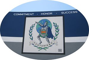 CHS