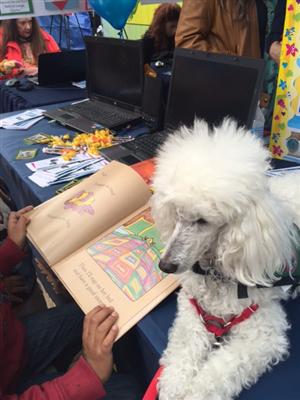 Partner Reading 