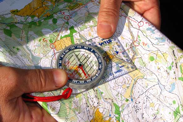 Compass