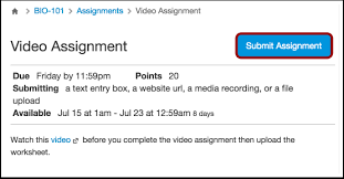 Submit 