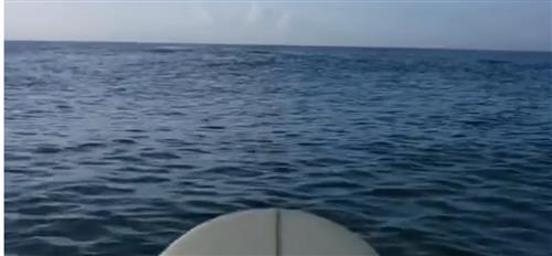 On board in ocean. 