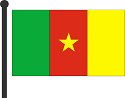 cameroon flag