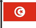 tunisia flag