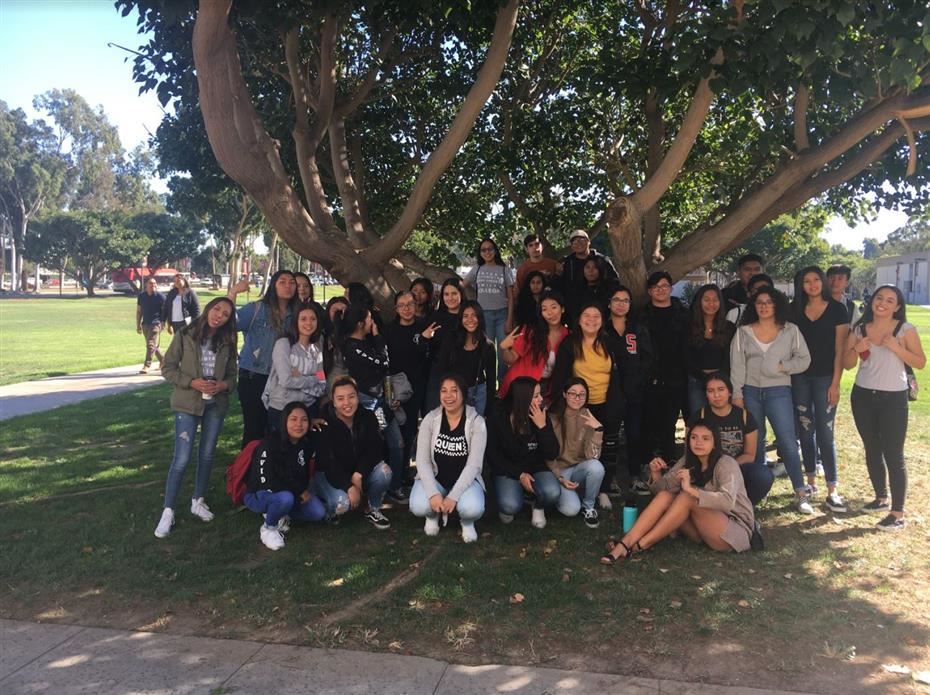 avid12 