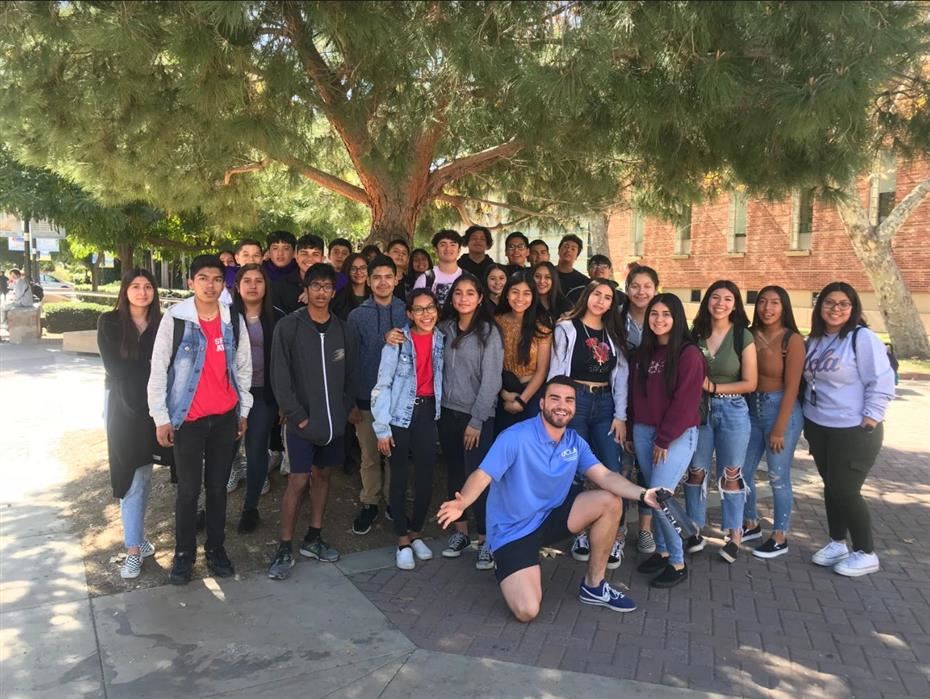 avid8 