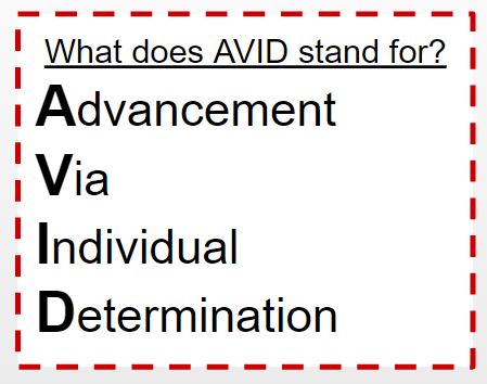 avid 