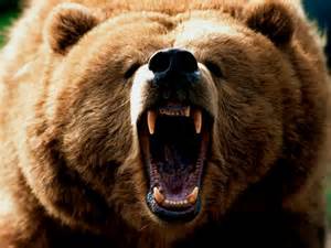 Godinez Grizzly 