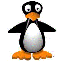 Jiji 