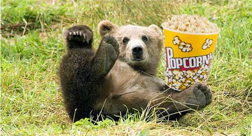 Grizzly  