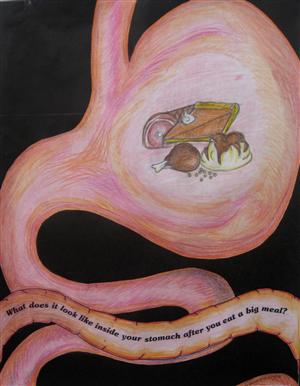 Inside Stomach 