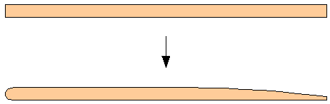 cross section of wing