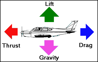 Forces of flight